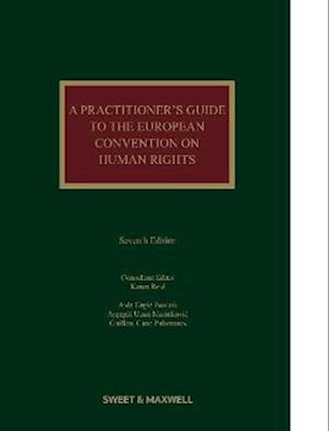 A Practitioner's Guide to the European Convention on Human Rights