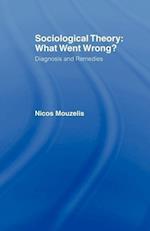 Sociological Theory: What went Wrong?