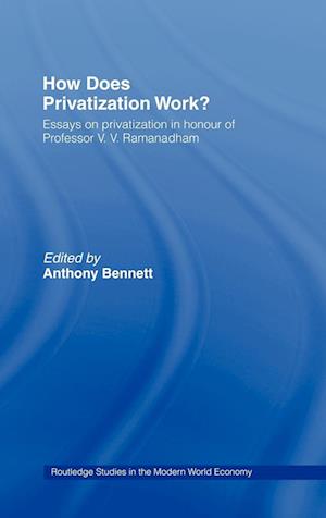 How Does Privatization Work?