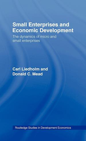 Small Enterprises and Economic Development