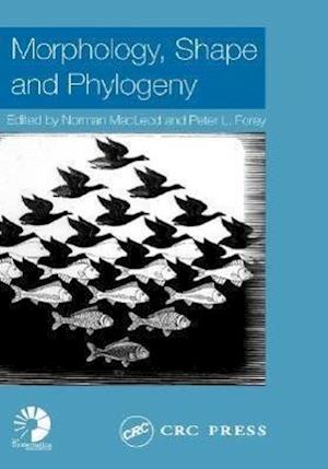 Morphology, Shape and Phylogeny