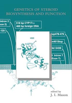 Genetics of Steroid Biosynthesis and Function