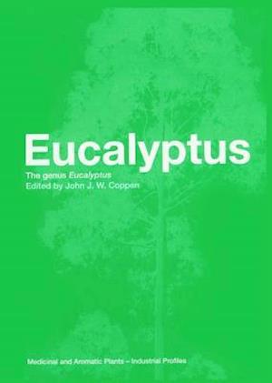 Eucalyptus