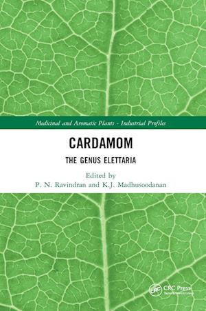 Cardamom