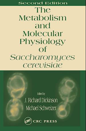 Metabolism and Molecular Physiology of Saccharomyces Cerevisiae