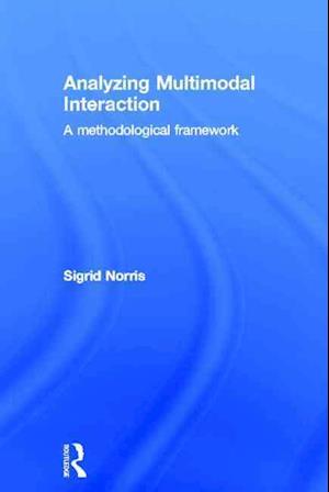 Analyzing Multimodal Interaction