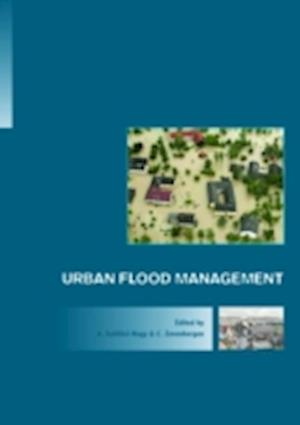 Urban Flood Management