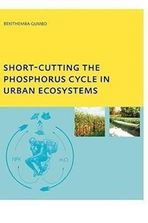 Short-cutting the Phosphorus Cycle in Urban Ecosystems