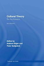 Cultural Theory: The Key Concepts