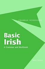 Basic Irish: A Grammar and Workbook
