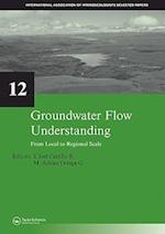 Groundwater Flow Understanding
