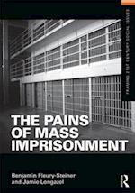 The Pains of Mass Imprisonment