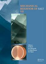 Mechanical Behaviour of Salt VII