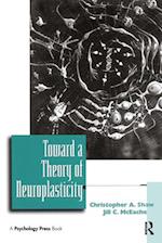 Toward a Theory of Neuroplasticity