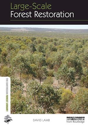 Large-scale Forest Restoration