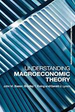 Understanding Macroeconomic Theory