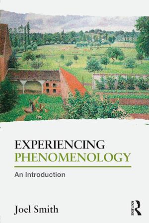 Experiencing Phenomenology