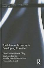 The Informal Economy in Developing Countries