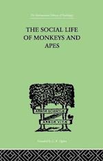 The Social Life Of Monkeys And Apes