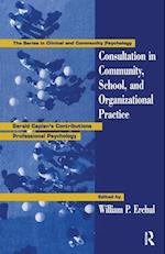 Consultation In Community, School, And Organizational Practice