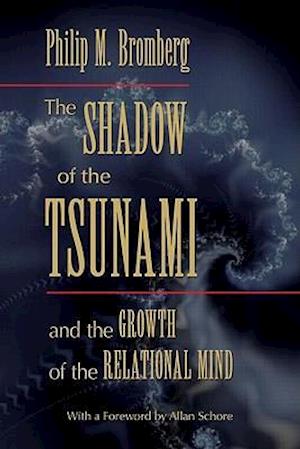 The Shadow of the Tsunami