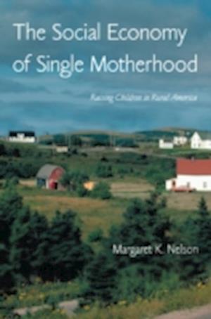 The Social Economy of Single Motherhood