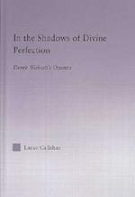 In the Shadows of Divine Perfection