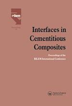 Interfaces in Cementitious Composites