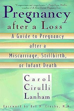 Pregnancy After a Loss