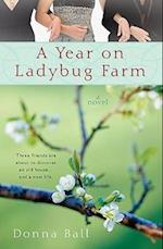 A Year on Ladybug Farm