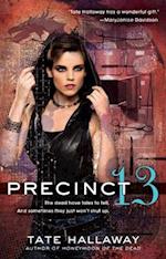 Precinct 13