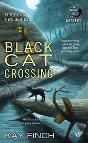 Black Cat Crossing