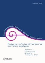 Finite or Infinite Dimensional Complex Analysis