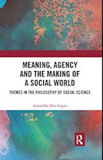 Meaning, Agency and the Making of a Social World