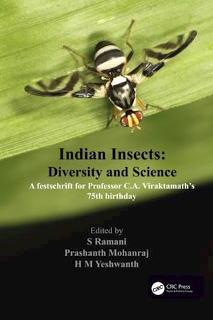 Indian Insects