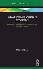 What Drives China’s Economy
