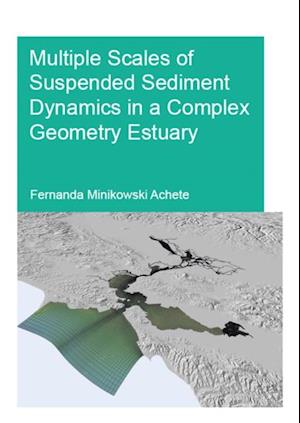 Multiple Scales of Suspended Sediment Dynamics in a Complex Geometry Estuary