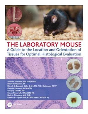 Laboratory Mouse