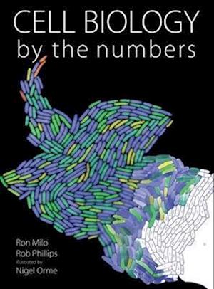 Cell Biology by the Numbers