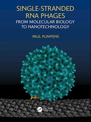 Single-stranded RNA phages