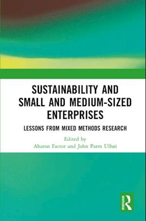 Sustainability and Small and Medium-sized Enterprises