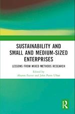 Sustainability and Small and Medium-sized Enterprises