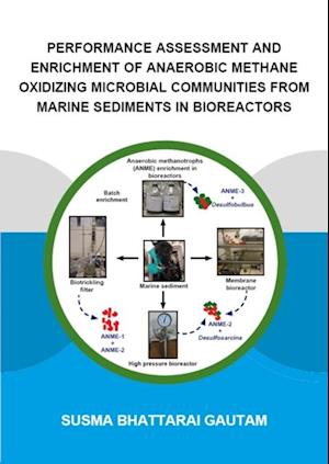 Performance Assessment and Enrichment of Anaerobic Methane Oxidizing Microbial Communities from Marine Sediments in Bioreactors