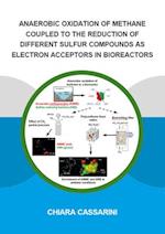 Anaerobic Oxidation of Methane Coupled to the Reduction of Different Sulfur Compounds as Electron Acceptors in Bioreactors