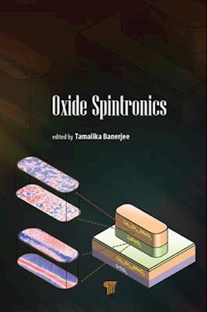 Oxide Spintronics