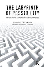 Labyrinth of Possibility