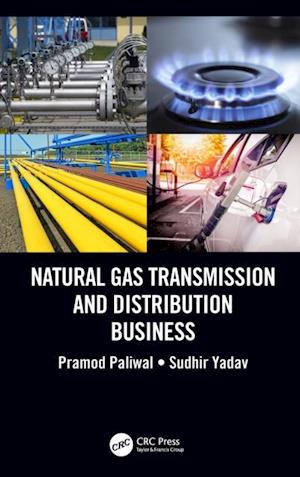 Natural Gas Transmission and Distribution Business