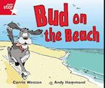 Rigby Star Guided Phonic Opportunity Readers Red: Bud On The Beach
