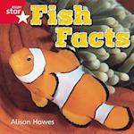 Rigby Star Independent Reception Red Non Fiction Fish Facts Single