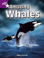 Rigby Star Independent Year 2 Purple Non Fiction: Amazing Whales Single